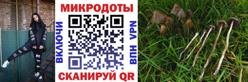 Купить где  Реж  Псилоцибиновые грибы мицелий 
